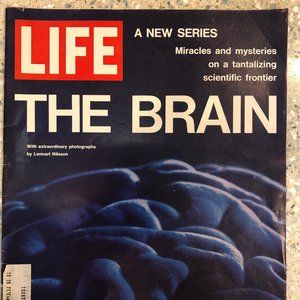 Vintage Life Magazine - The Brain October 1, 1971